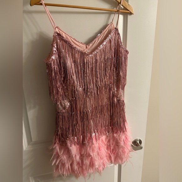 None Dresses & Skirts - Women’s pink sequin fringe & feather party dress. Great condition. Barbi…